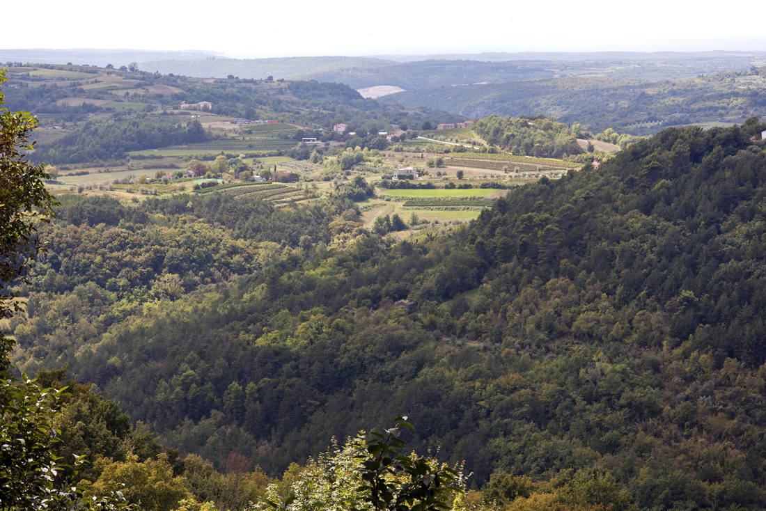 10 hinterland motovun