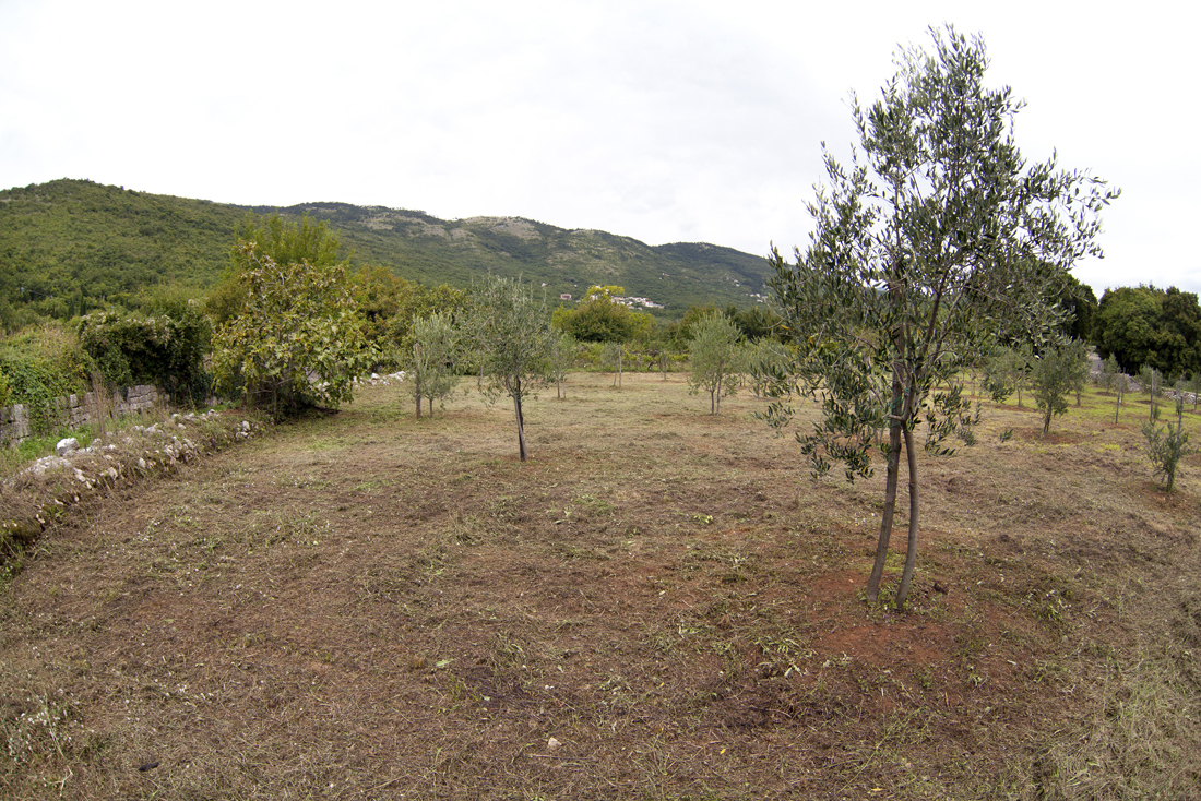 10 olive grove brsec2